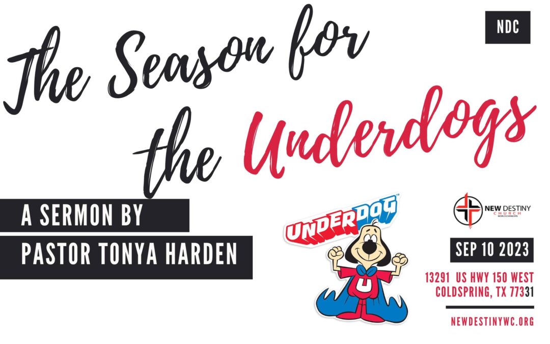 The Season For the Underdogs